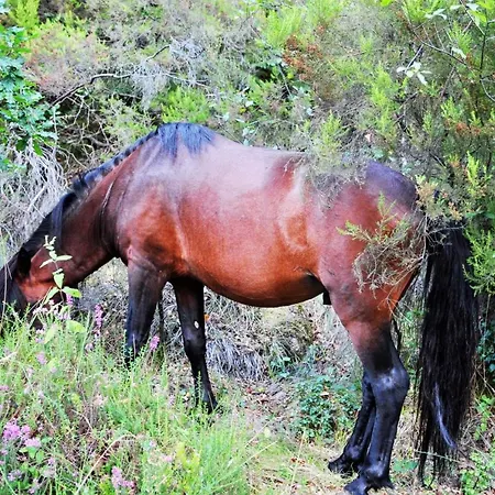 酒店 吉尔斯摩登酒店 吉尔斯