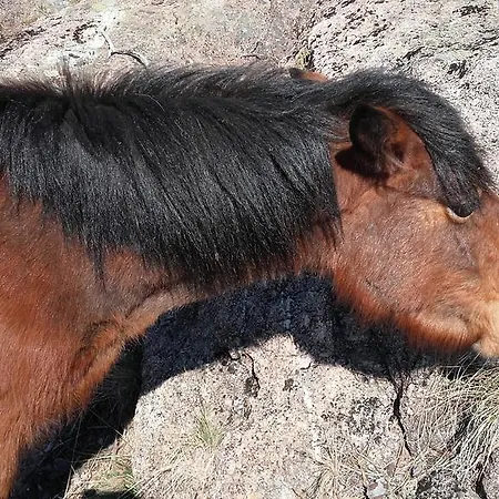 吉尔斯摩登酒店 2*