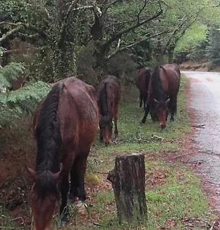 酒店 吉尔斯摩登酒店 吉尔斯