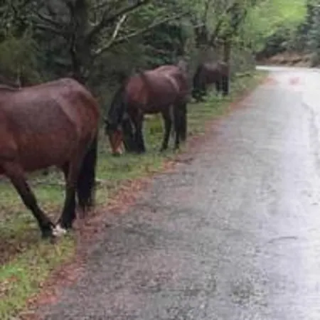 吉尔斯摩登酒店